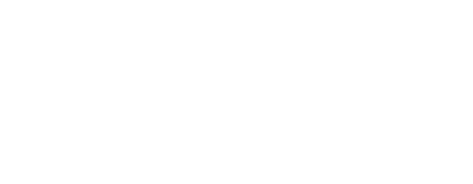 Ember Aesthetics' Logo (long, white)